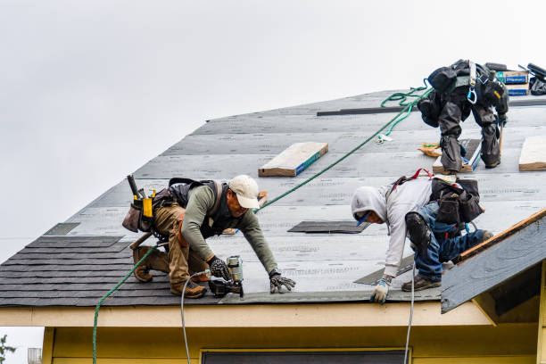 Professional Roofing technician working in Pecatonica, IL